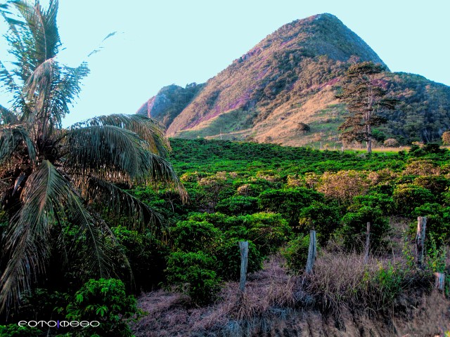 Brasil logo 12 (Small)